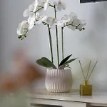 Apartament Zabrska Modern Next To Spodek With Ac & Parking By Renters Katowice