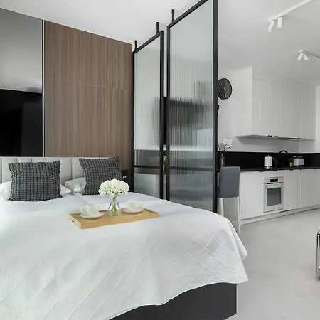 Appartement Zabrska Modern Next To Spodek With Ac & Parking By Renters *