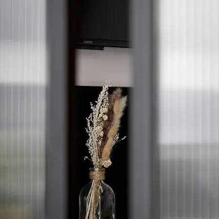 Apartment Zabrska Modern Next To Spodek With Ac & Parking By Renters *