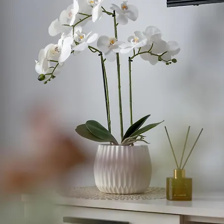 Apartament Zabrska Modern Next To Spodek With Ac & Parking By Renters Katowice
