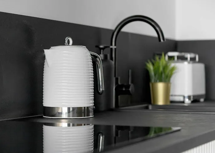 Appartement Zabrska Modern Next To Spodek With Ac & Parking By Renters