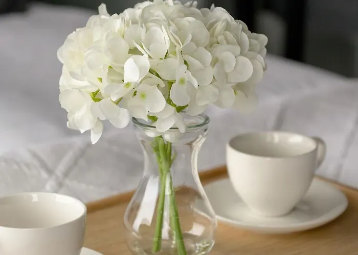 Zabrska Modern Next To Spodek With Ac & Parking By Renters *