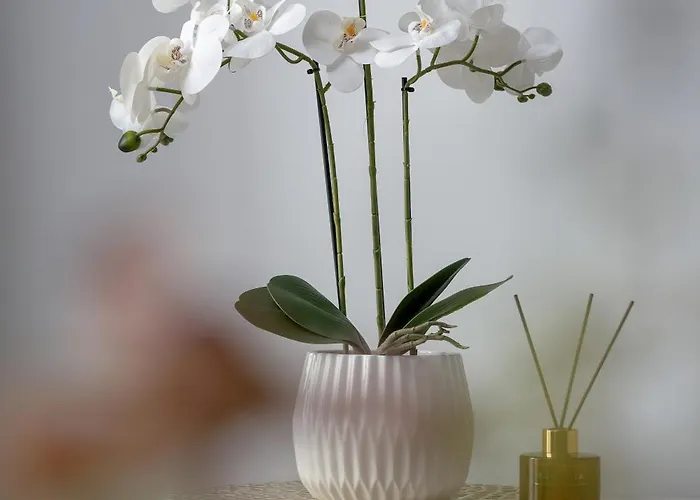 Apartment Zabrska Modern Next To Spodek With Ac & Parking By Renters Katowice