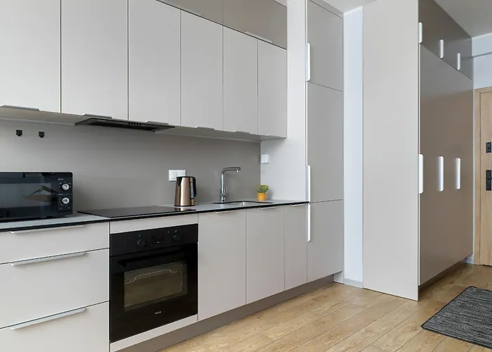 Apartment Zabrska Modern Next To Spodek With Ac & Parking By Renters *